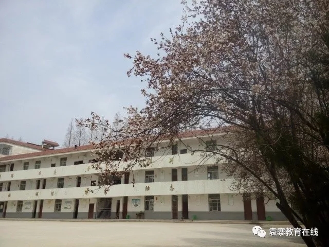 家门口的好学校:初心不忘,重塑辉煌的袁寨镇临颍中学