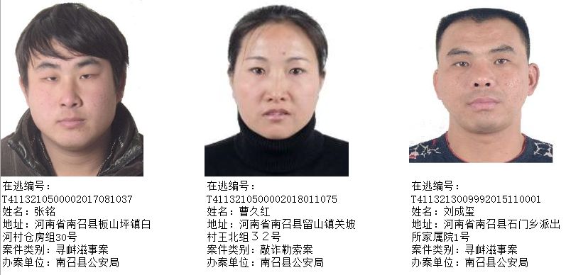 通缉令南阳市公安局对205名涉恶逃犯实行公开通缉淅川通缉17人
