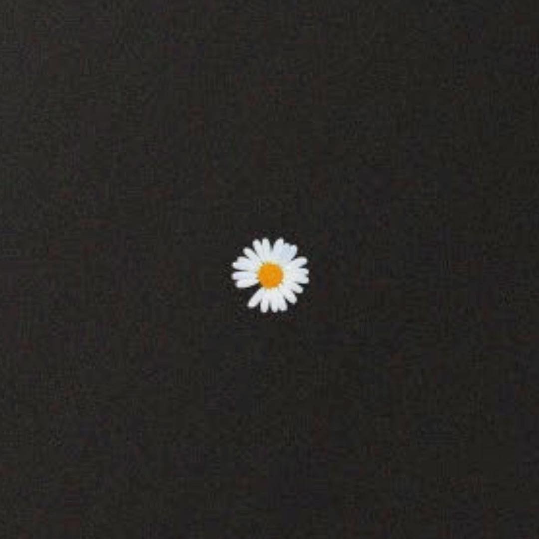 ins发布动态,上传了一张个人品牌peaceminusone产品最近使用的雏菊