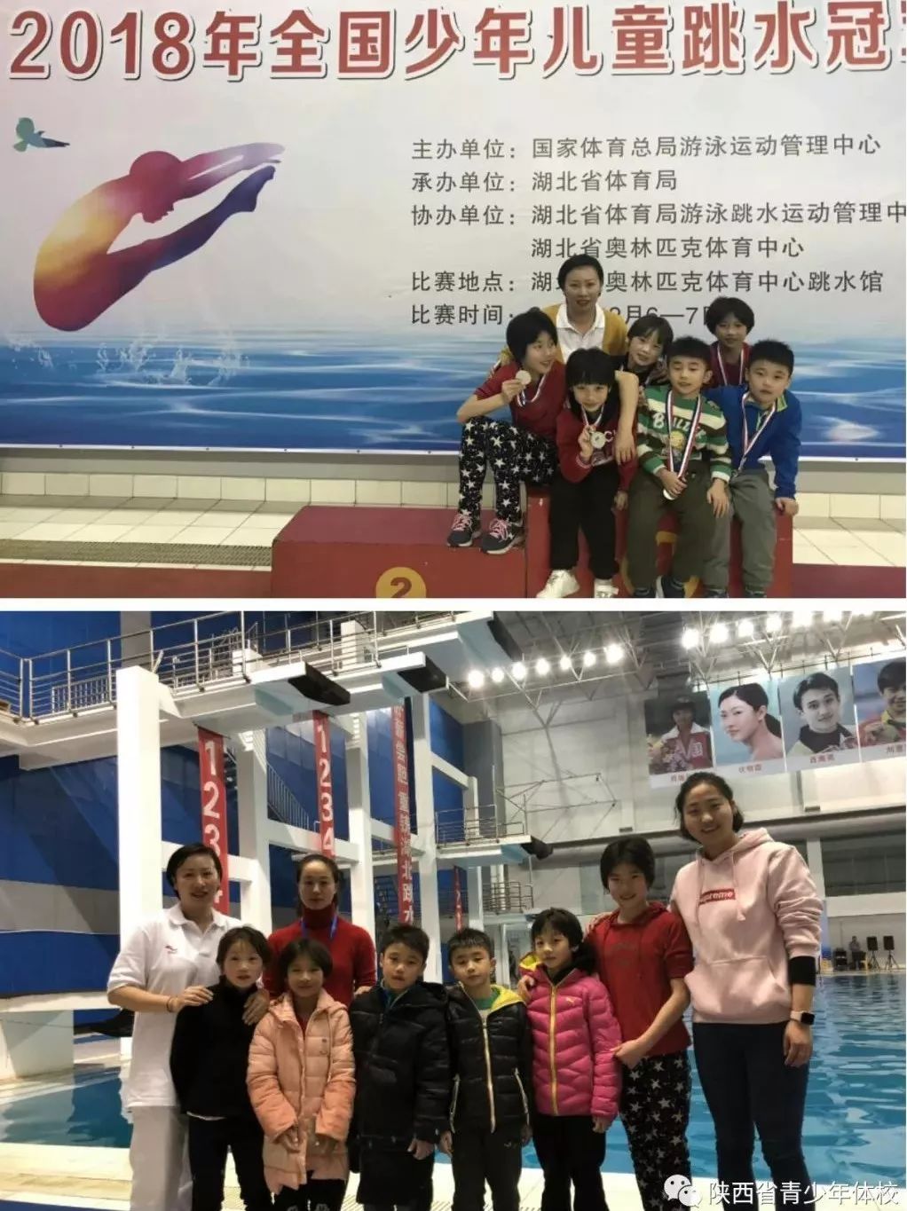 省青少年体校输送运动员在2018年全国少年儿童跳水冠军赛中喜获佳绩