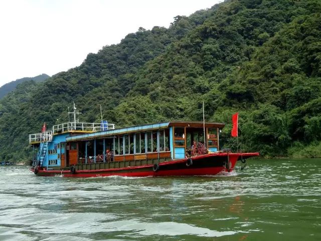 六)清远银盏泡温泉 赏禾雀花 田野绿世界赏樱花玩机动游戏 北江游船