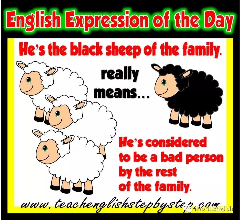 【英语词汇探源】scapegoat & black sheep羊为何在英语中总是背黑锅