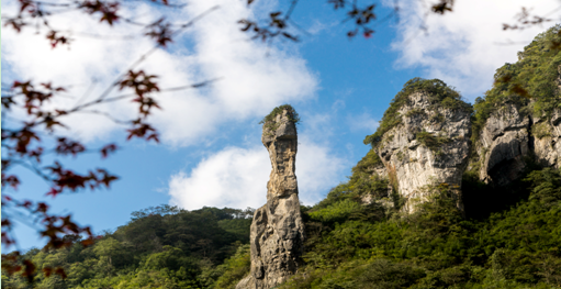 世界自然遗产,国家级风景名胜区,5a级景区重庆金佛山旅游线路