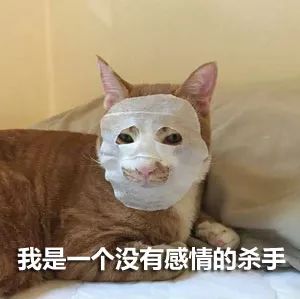 主人买的面膜里有送个小样,于是给家里的橘猫贴上后,笑喷.