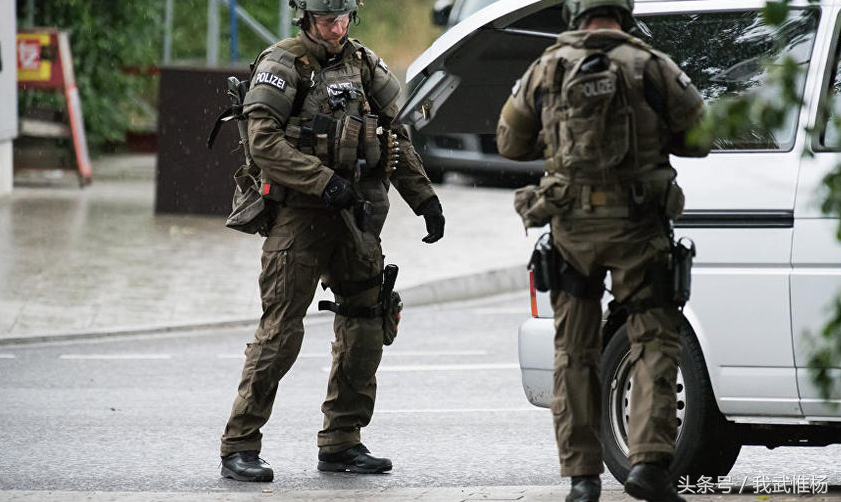 德国联邦警察第九国境守备队是反恐部队