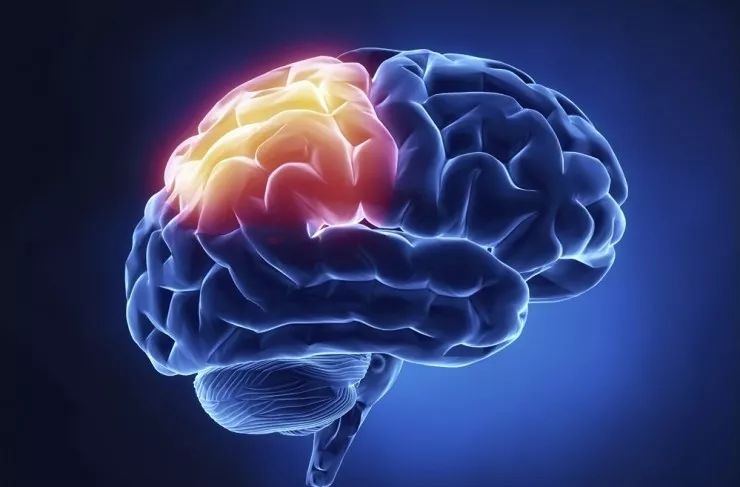 "记忆面包"真的存在,研究人员发现 ai 可激发大脑潜能