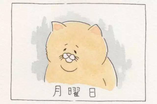 最近大火的残念猫漫画合集吃不到的永远在骚动心塞塞的