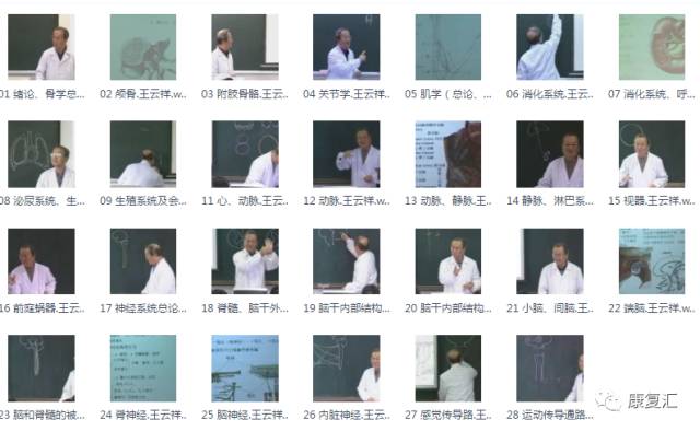 李哲教你学解剖830g视频/电子书/ppt人体结构功能瑜伽