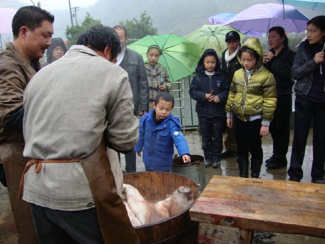 农村过年杀年猪习俗, 你还知道吗?