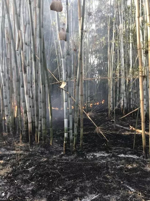 搬到附近水源区域进行取水,并铺设 6条消防水带到火灾现场出水扑救.