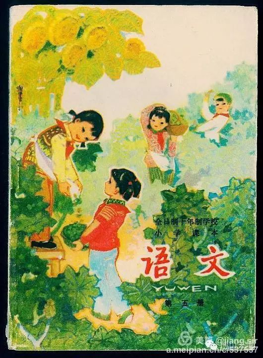 1,八角楼上(看图学文) 2,周总理的睡衣(看图学文) 3,三味书屋(鲁迅的