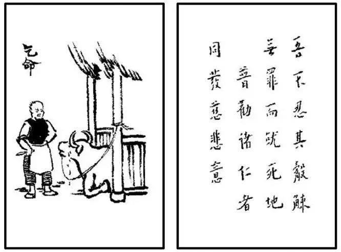 一、从传统角度看：八字与五行