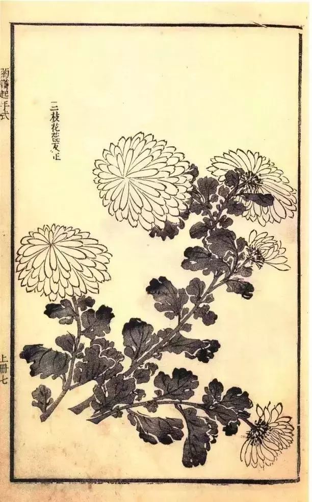 《芥子园画谱》,又称《芥子园画传》,中国画技法图谱,诞生于清代.