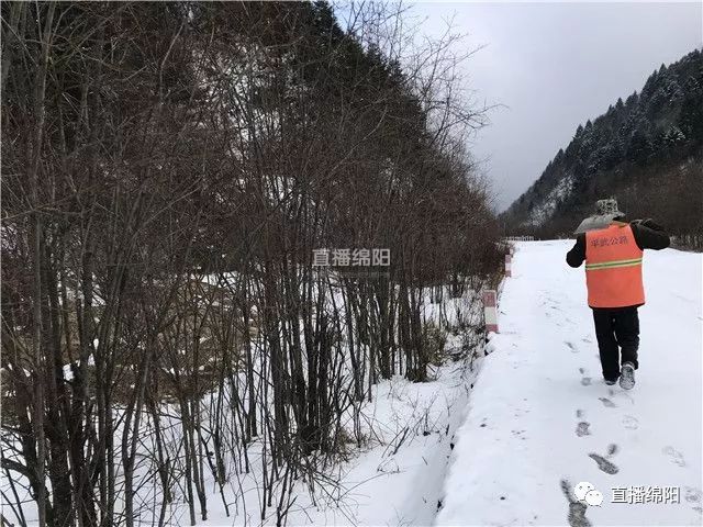 龙安镇人口_绵阳一条河道成私家菜地(3)