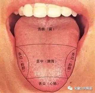 【健康养生】动一动舌头就能排毒,美容,安眠,健脾?这