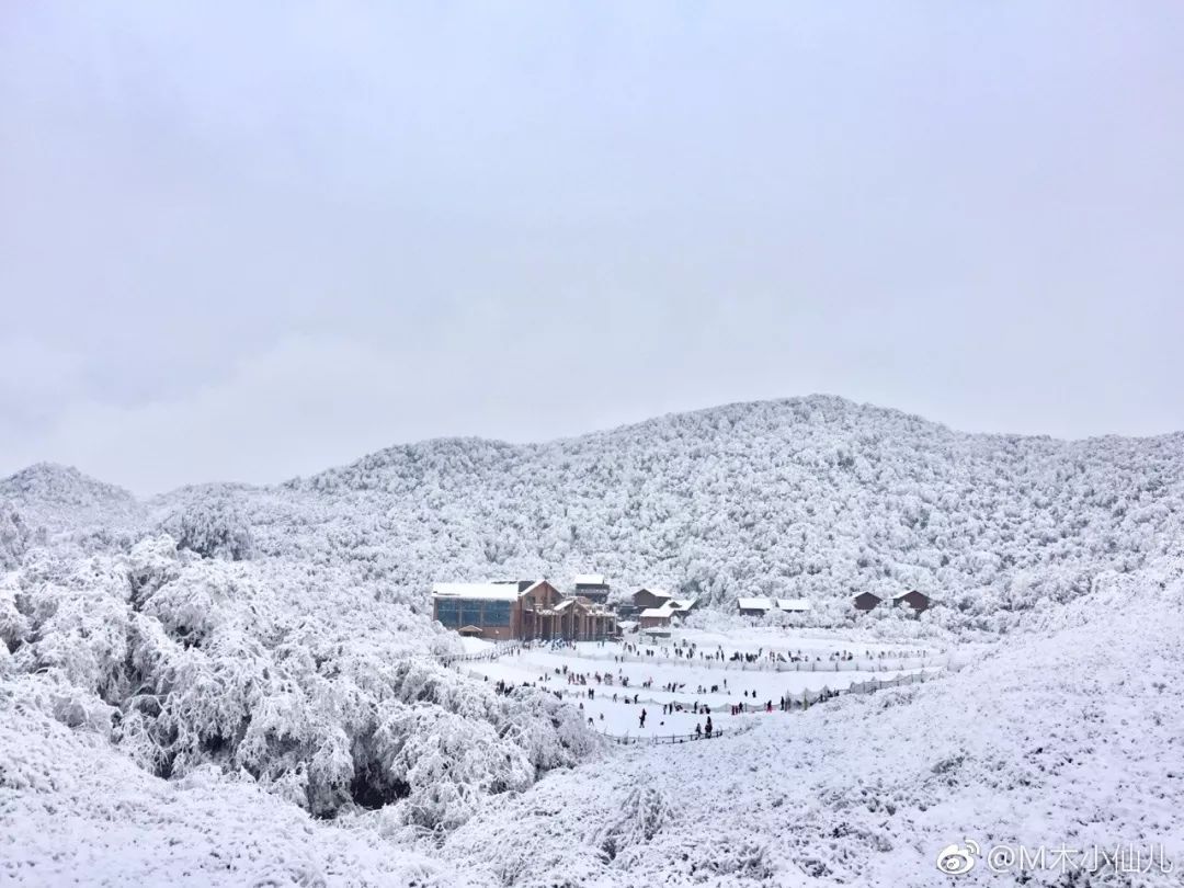 又下雪了!重庆迎最冷一天 这些区县已下雪!