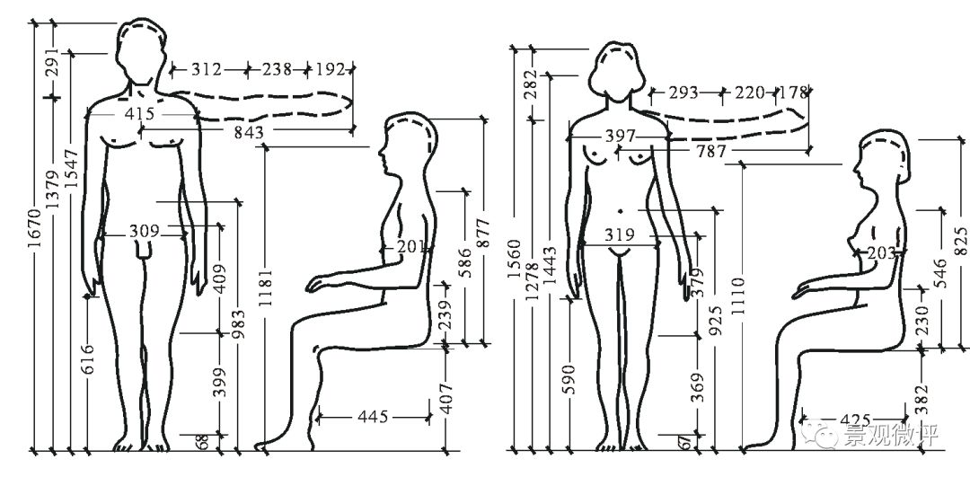 2.人体基本动作尺度