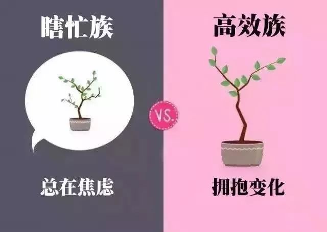 勤奋还是瞎忙?8张图看懂你的努力是不是有效!