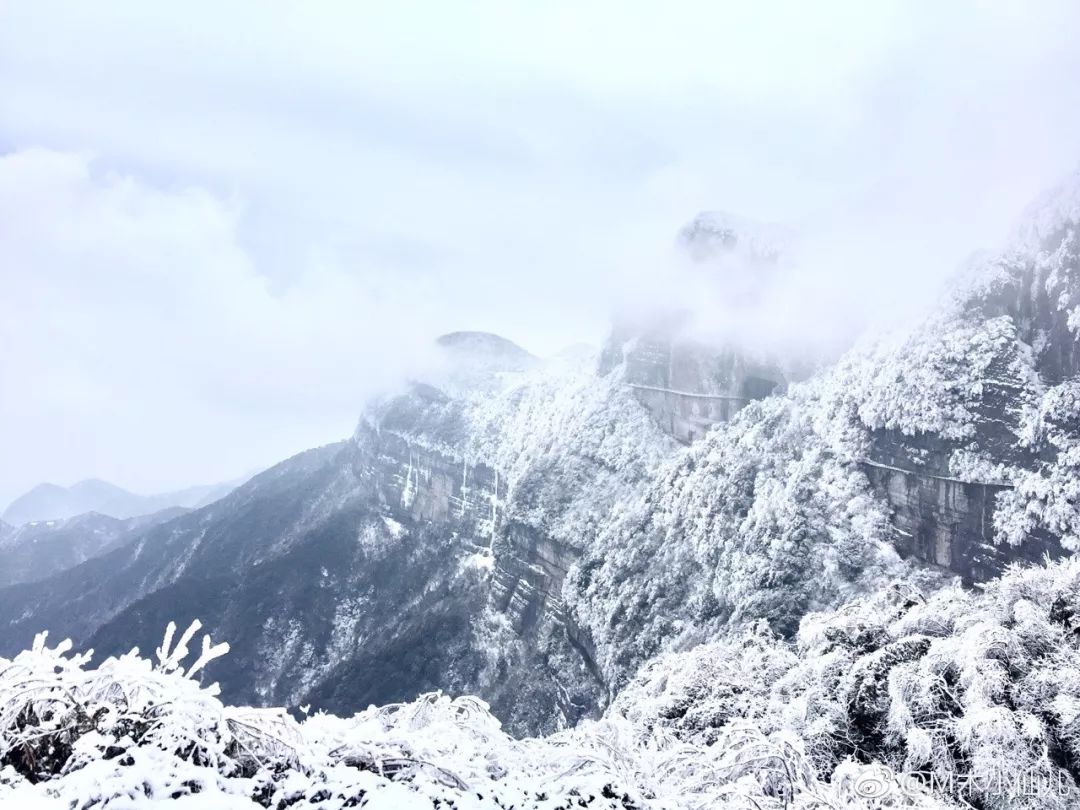 又下雪了!重庆迎最冷一天 这些区县已下雪!