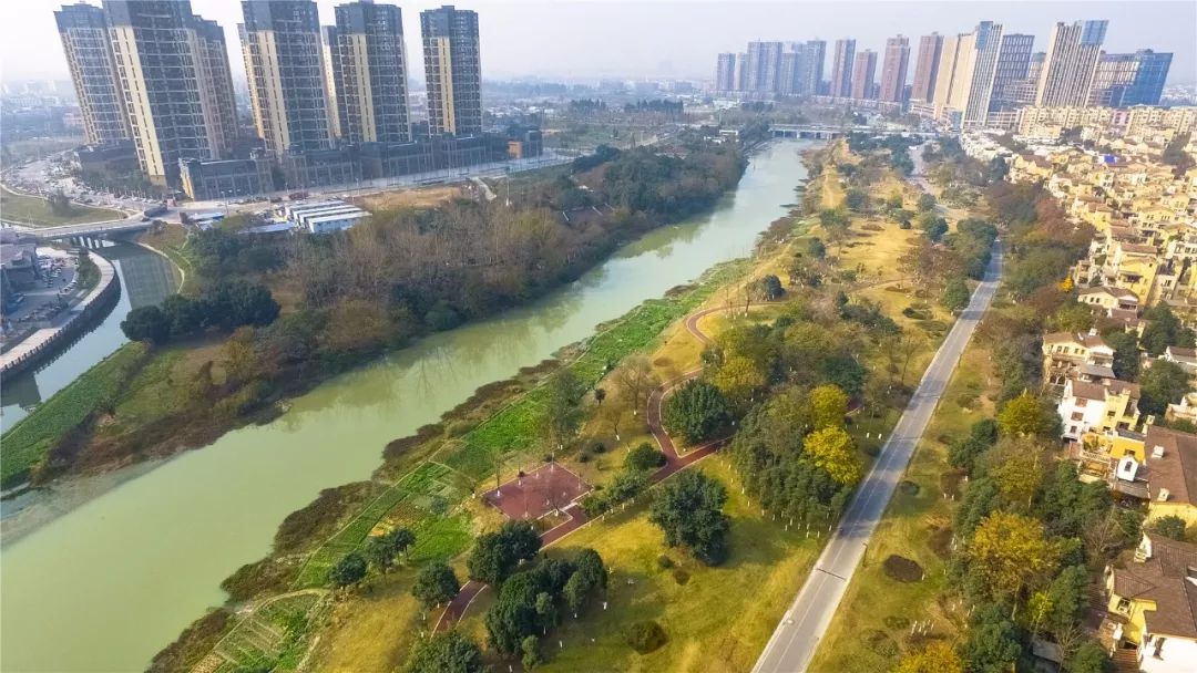 新都区毗河绿道双水岸段 图据新都双水岸段长度约2.