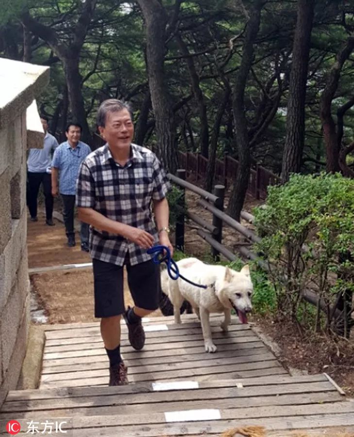 韩国总统文在寅带着宠物狗一道登位于首尔北部的北汉山.