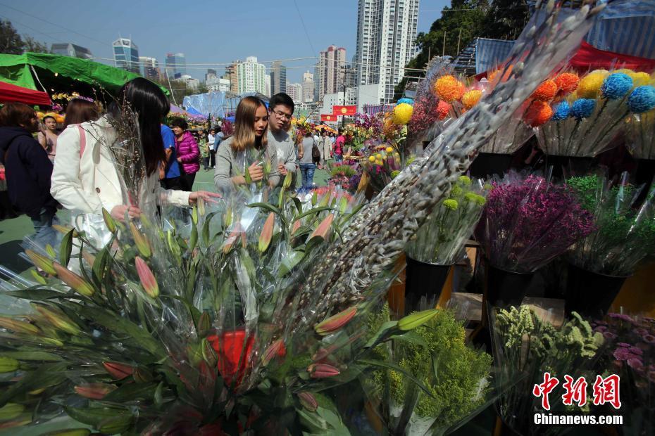 香港年宵花市热闹开张