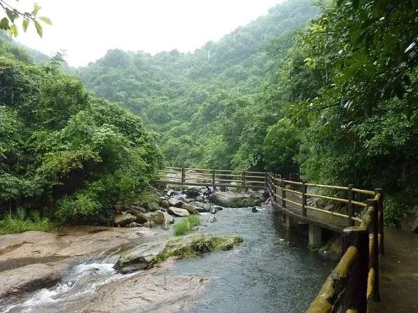 马峦山郊野公园