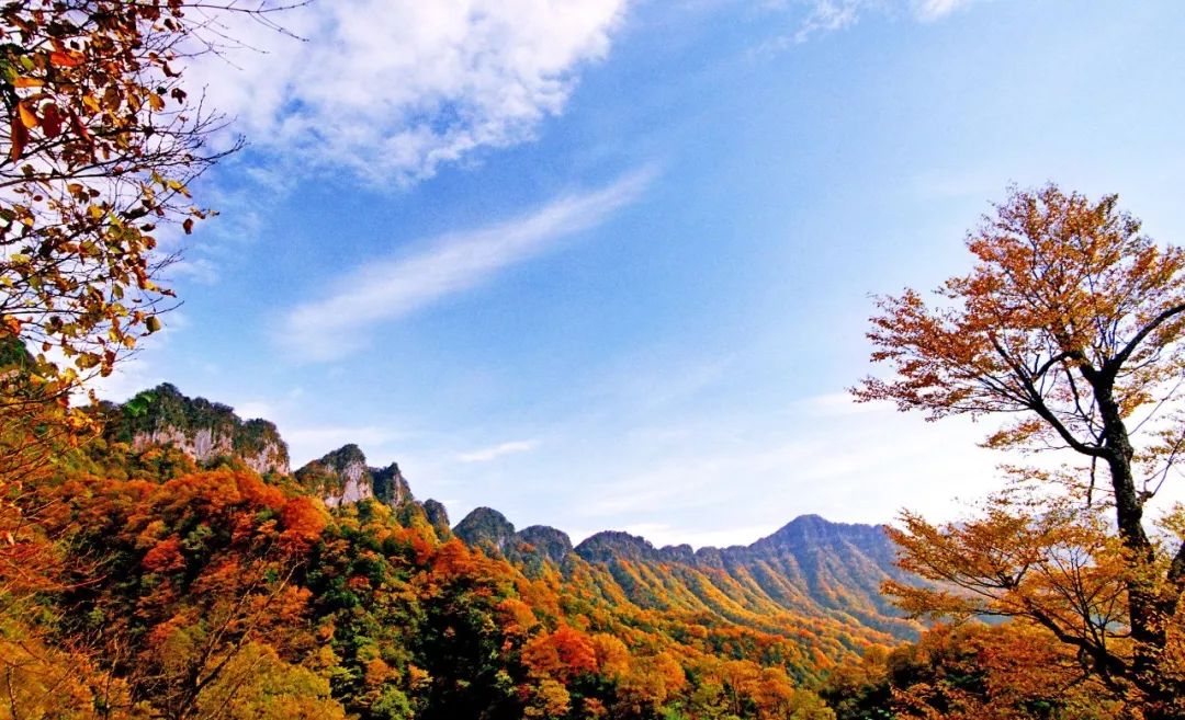 四川|光雾山旅游景区