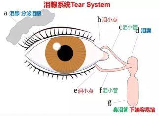 小宝宝眼屎多就是上火了?你可不能这么坑娃!