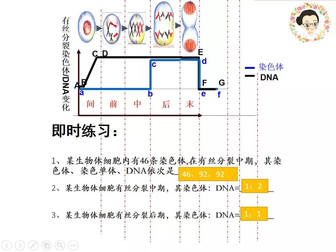 雷老师工作室丨线上微课第3堂等级考生物有丝分裂各期染色体dna数量