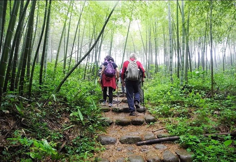 17 春天花事——徒步穿越长兴城山古道,慕战争遗迹,观城山沟千亩桃花!