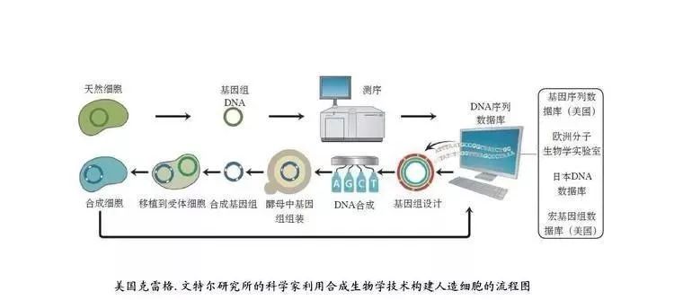 合成生物学为什么这么火