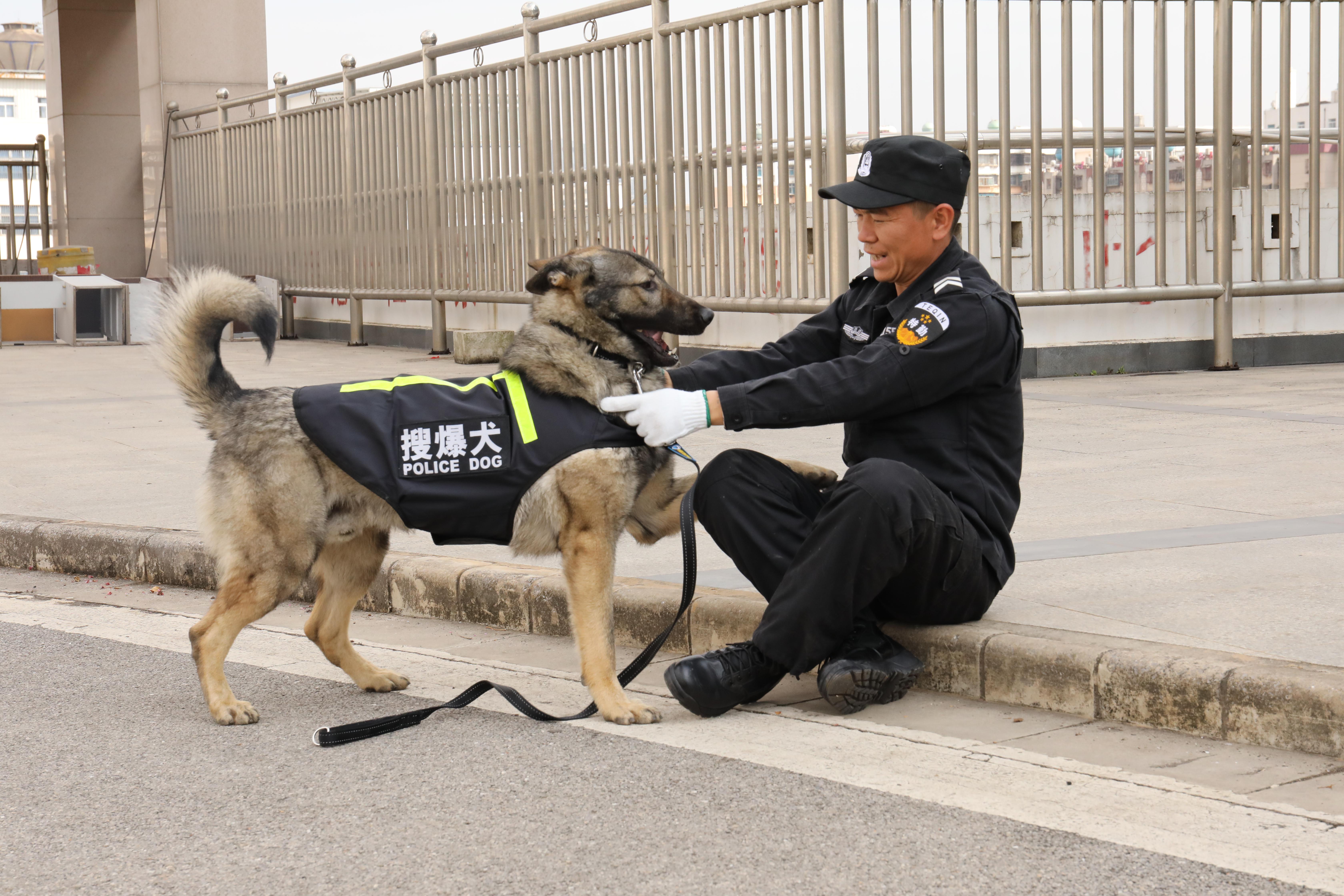 有西德犬,昆明犬,马犬,拉布拉多,卡斯罗犬,比格等多个品种,担负着省内