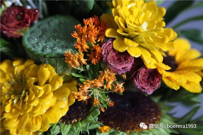 中国的国花是什么花