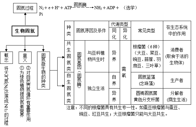 教育 正文  Ⅱ 动物与微生物代谢部分:三大类营养代谢,细胞呼吸,代谢