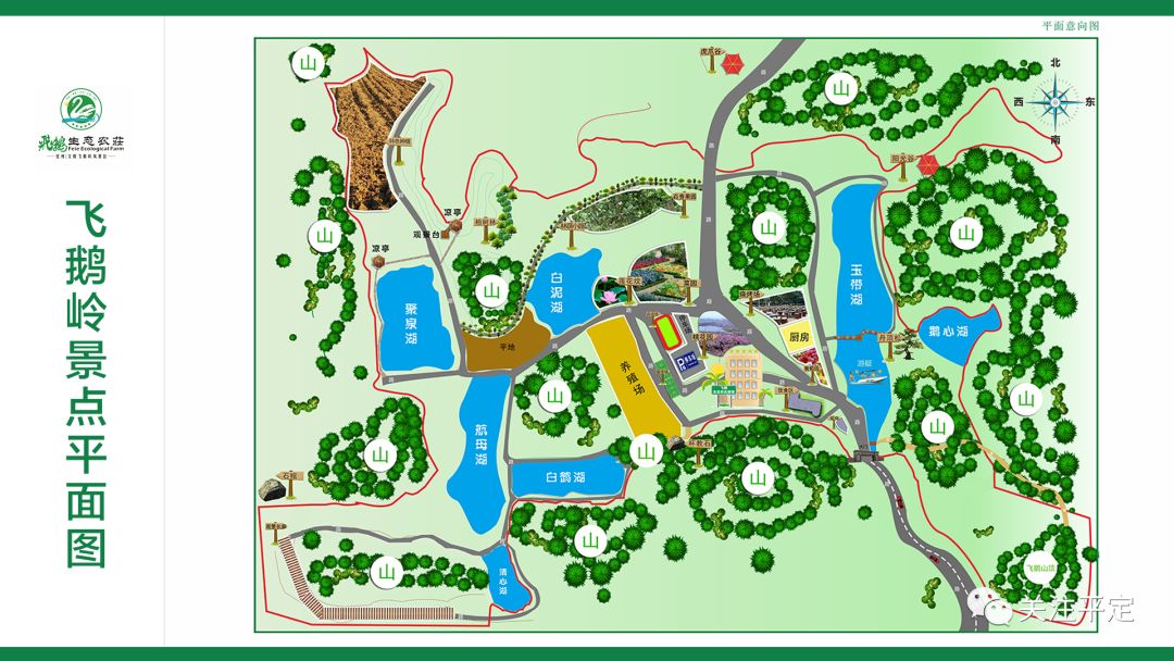 飞鹅岭旅游景区全新面貌向游客开放详细视频讲解和线路图为您送上