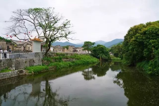 揭东玉湖镇新寮村