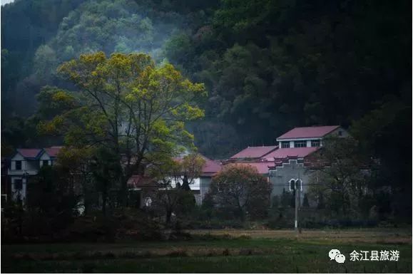 余江人口_余江一中的校花图片