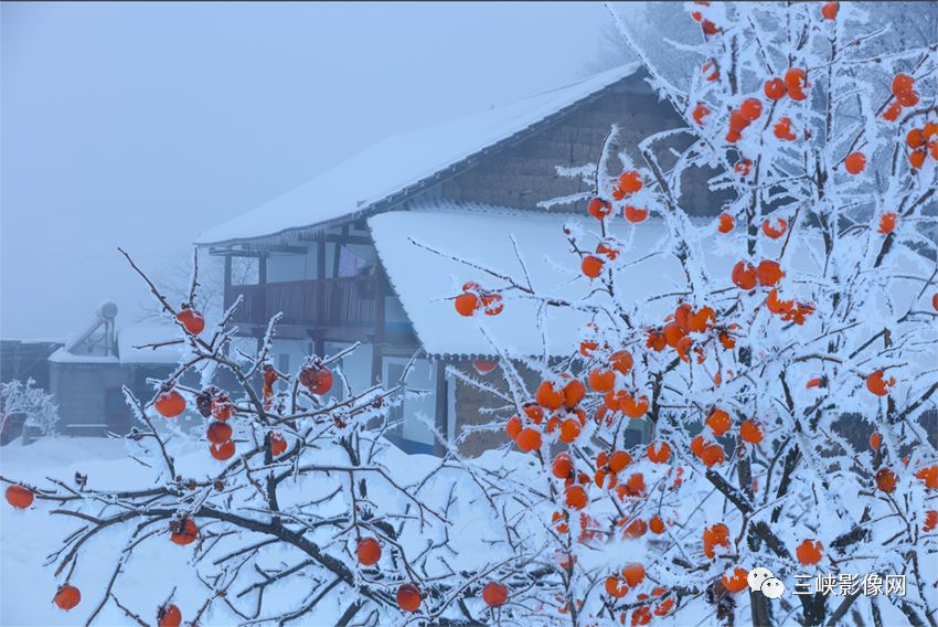 美丽乡村①宜昌秭归篇这里雪景胜雪乡