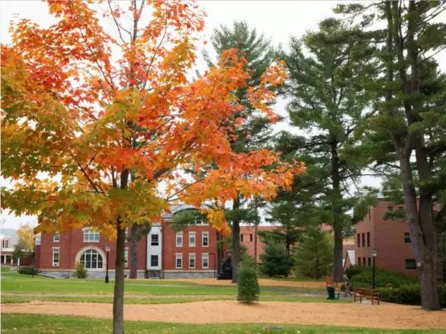 15. 匹泽学院(pitzer college)