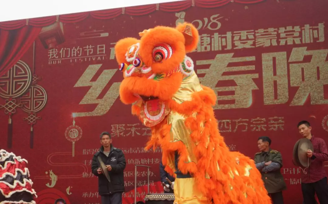 舞狮也是清新乡村新年的传统,浸潭虎尾村有特色鸡公狮,龙颈南田村委会