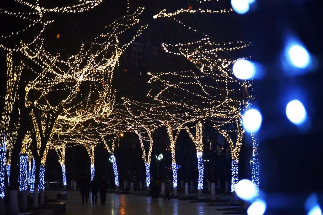 流光溢彩,火树银花!你绝没见过如此迷人的夜焦作