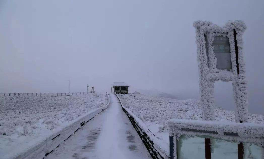 这个冬季的一场雪让韭菜坪飘进诗和远方