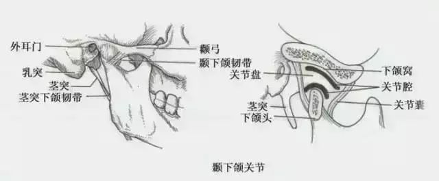 4,颞下颌关节很受伤"颞下颌关节"是负责张口,闭口的关节,说话,吃东西