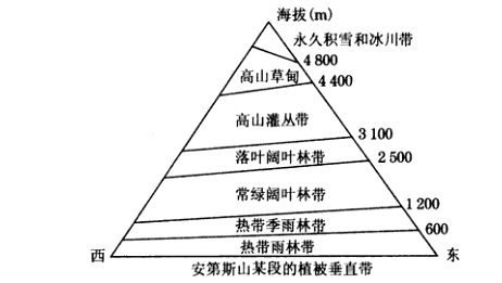 常考山地植被垂直分异规律图