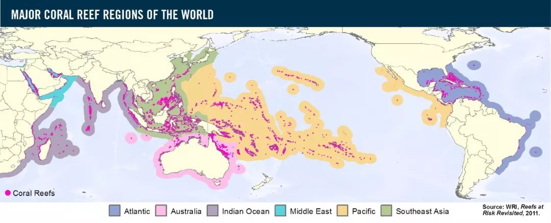 珊瑚礁分布在世界110个国家,大部分在热带.
