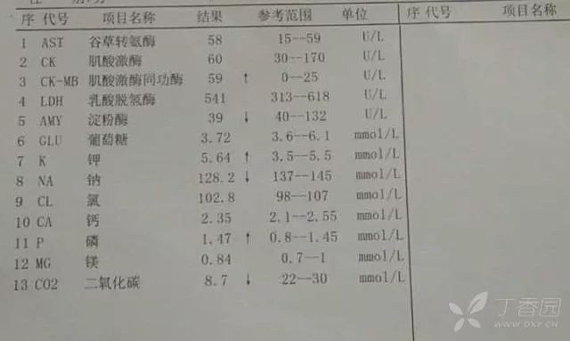 腹部 b 超提示肠系膜淋巴结肿大,实验室检查电解质紊乱,血象升高.