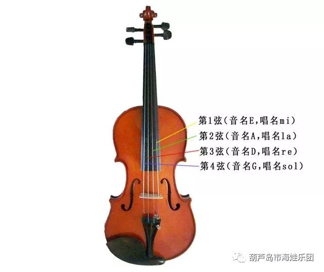 【答疑解惑】小提琴(中,大提琴和低音提琴)如何调音?