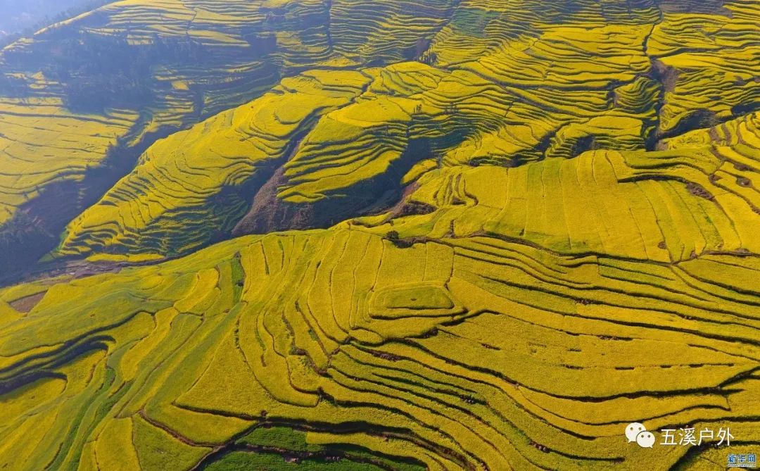 心花路放·趣旅行—云贵高原的春暖花开