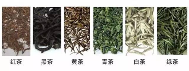 茶,区别到底在哪?